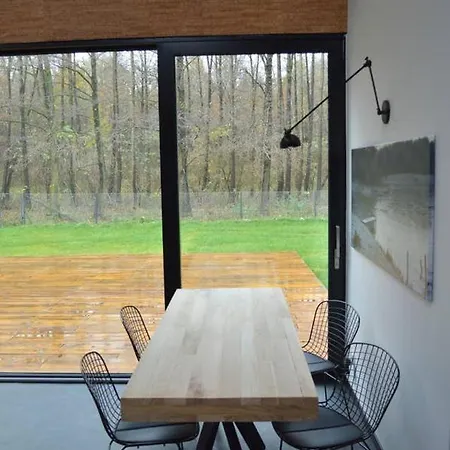 Modern House In Front Of The Forest *